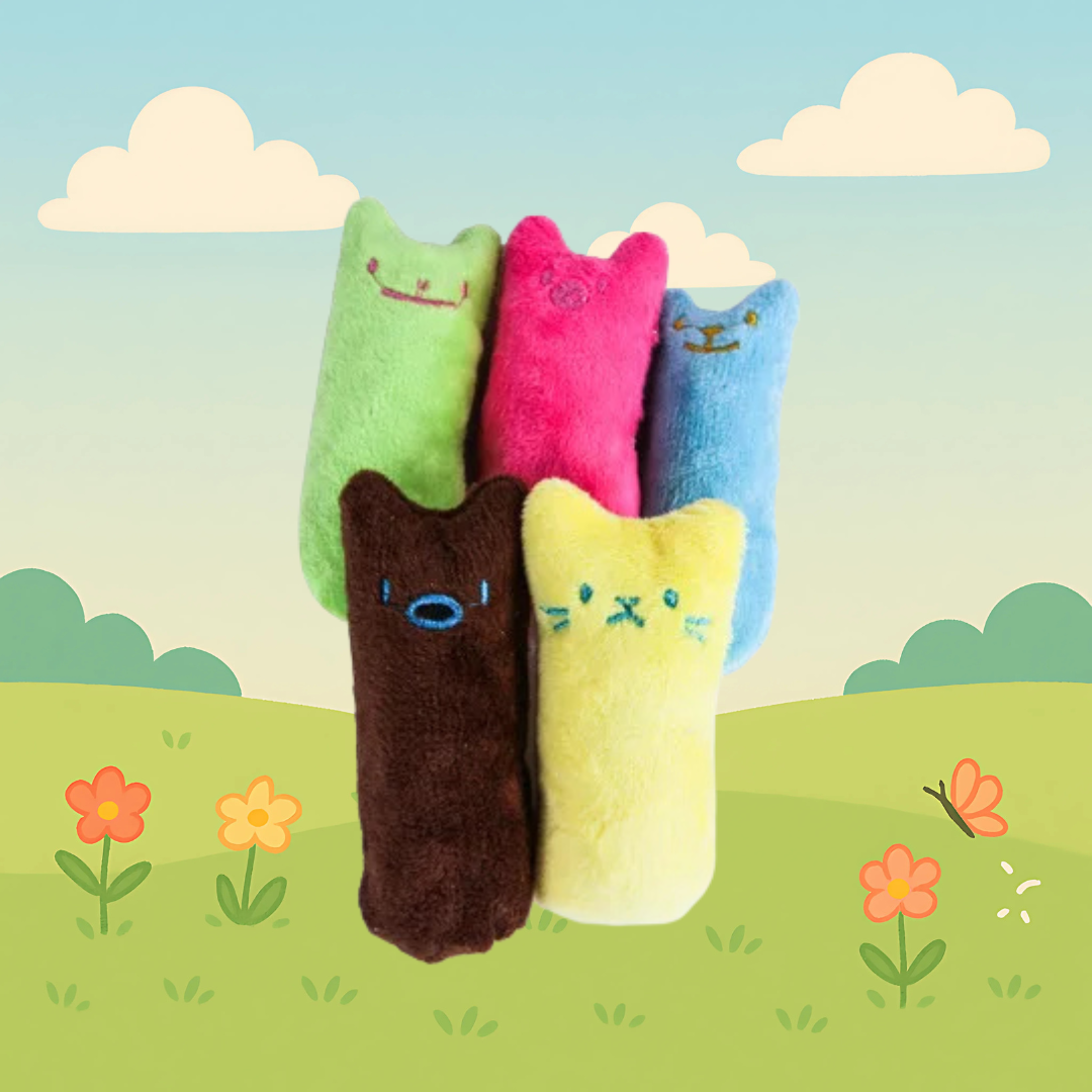 Katten Speeltje