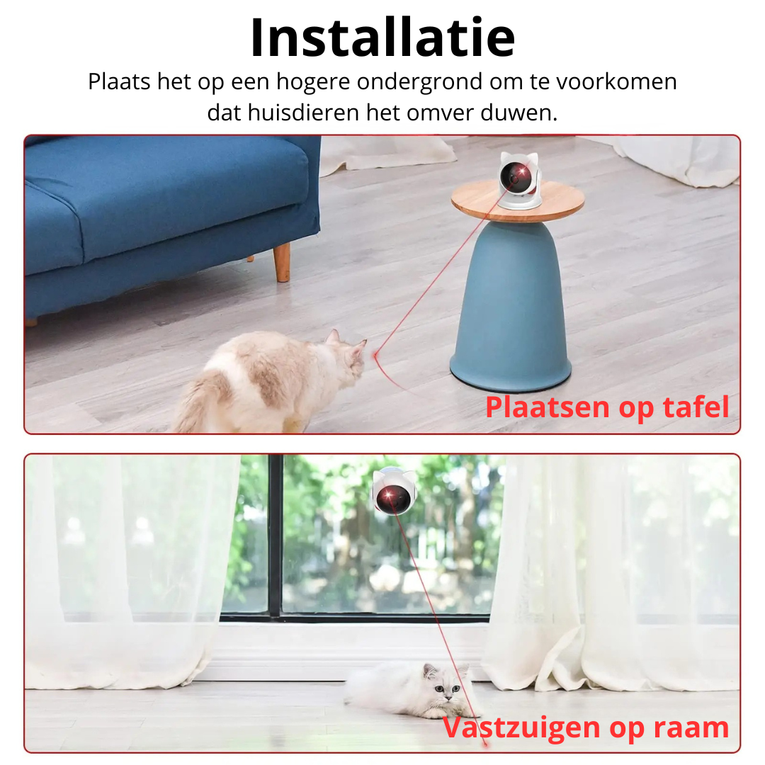 Laser Voor Katten