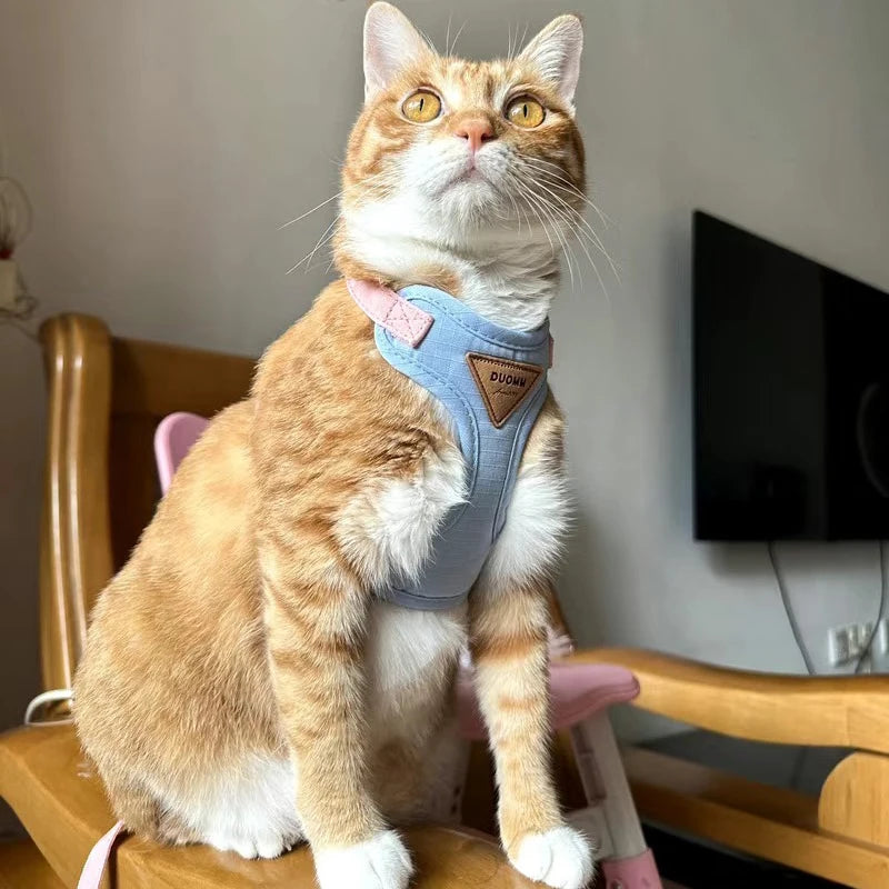Hoge Kwaliteit Kattenharnas