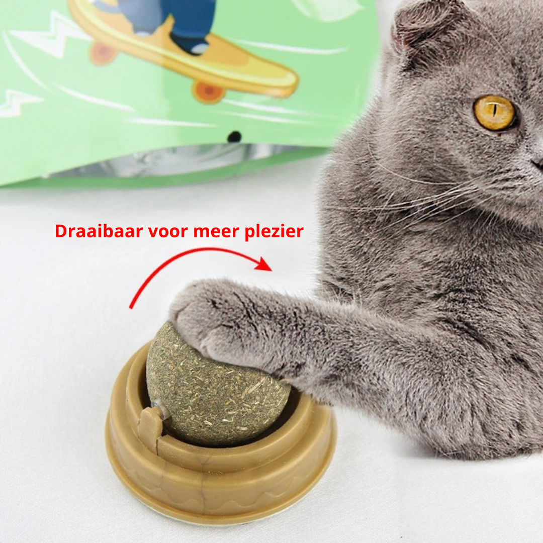 Catnip Balletje