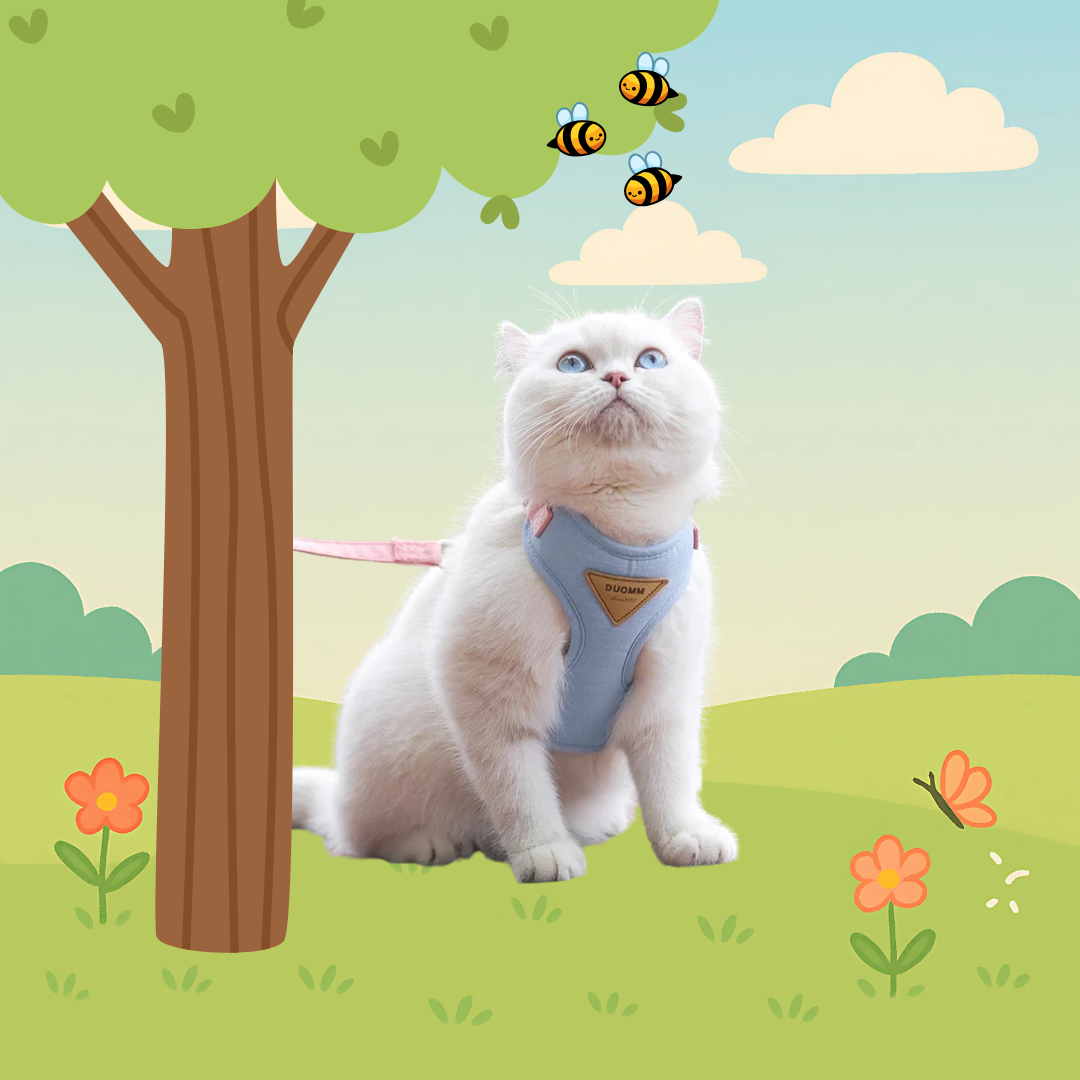 Hoge Kwaliteit Kattenharnas