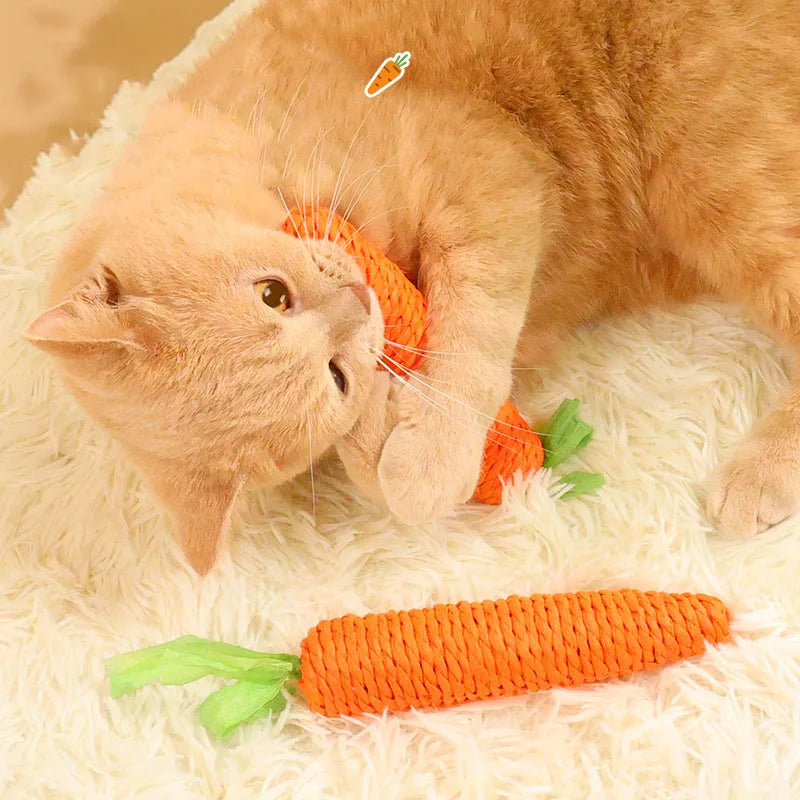 Wortel Kattenstok