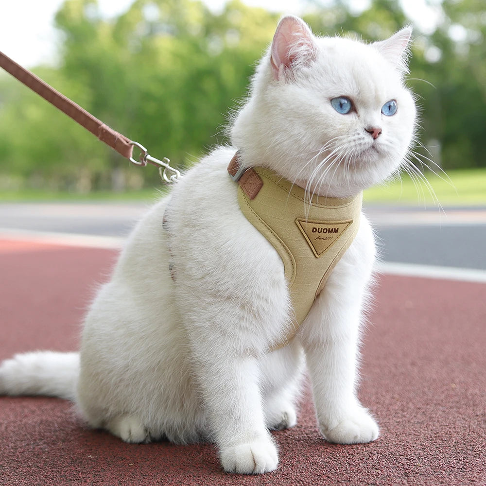 Hoge Kwaliteit Kattenharnas