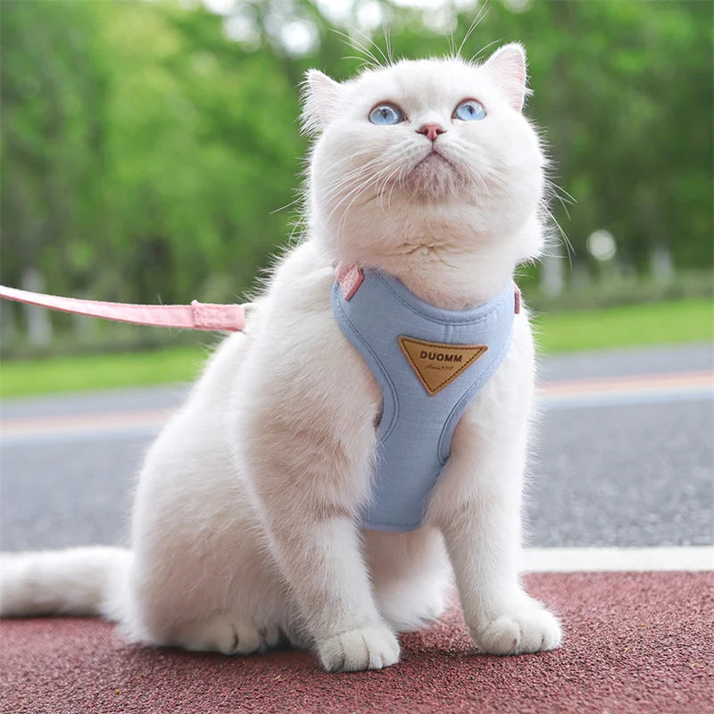 Hoge Kwaliteit Kattenharnas