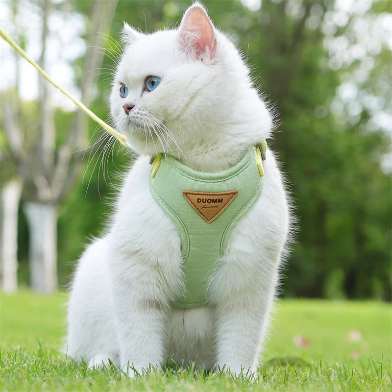 Hoge Kwaliteit Kattenharnas