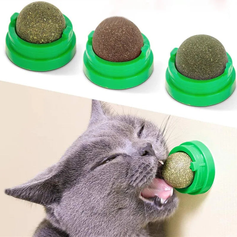 Catnip Balletje